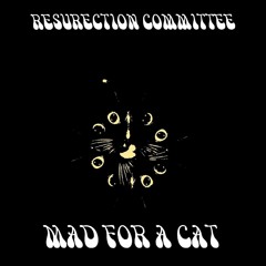 Mad For A Cat