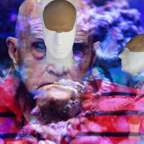 Stuck Head