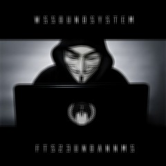 WS soundsystem - fts23undannms