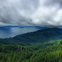 Your Mind Grows On What It Feeds On