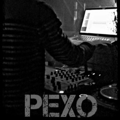 PeXo - @Waschhaus Potsdam (Setcut)
