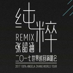 The Beginning (2017張韶涵純粹Remix世界巡迴演唱會 開場音樂）