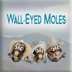 Livin' On Borrowed Time