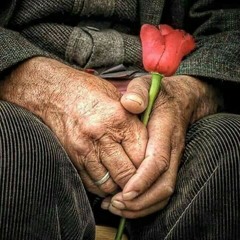 يقولون انتِ