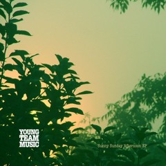 Sunny Sunday Afternoon