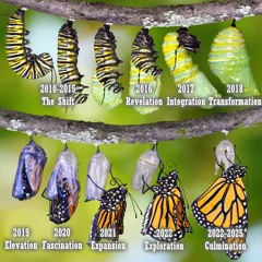 The Shift: What happened in 2017