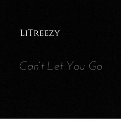 LilTreezy - Cant Let You Go