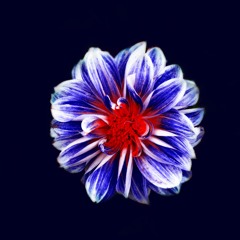 Sweet Flower Child (feat. Matt Easton)