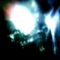 And Feathers (Lifelong Flight by Sun Catchers)