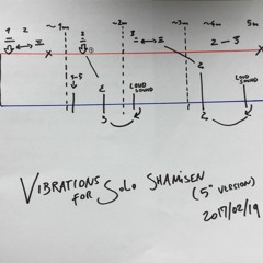 Vibrations For Solo Shamisen