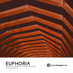 eedion, Momentum & Steven Sherwood - Euphoria