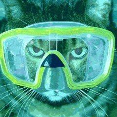 Scuba Keta Cat