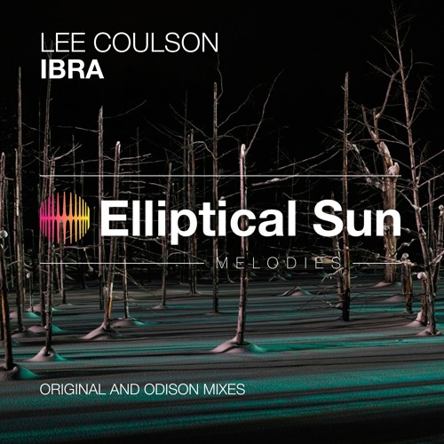 Lee Coulson - Ibra