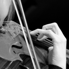 Malin Bång: ...när korpen vitnar (2003)