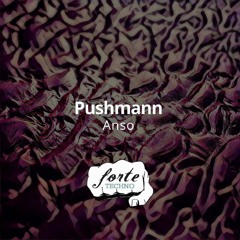 Pushmann - Detected Complex (Jake Conlon Remix)