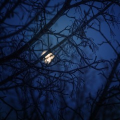 Under A Winter Moon (naviarhaiku212)