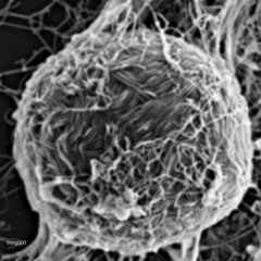 thing006 "Default EP" OUT NOW!!!