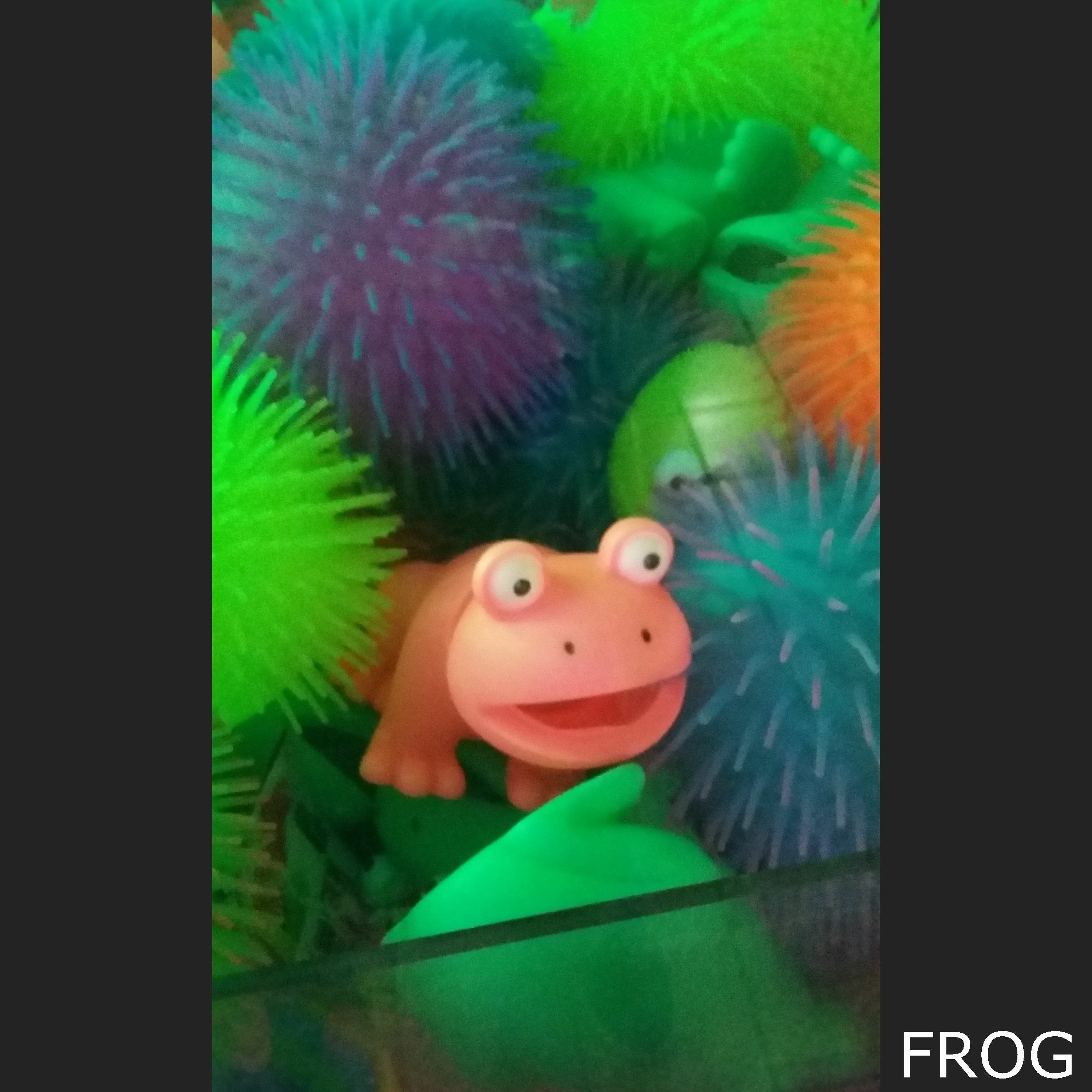 Frog episode artwork