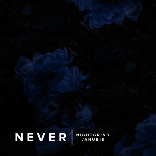 NEVER (w/ ANUBIS-XIII )