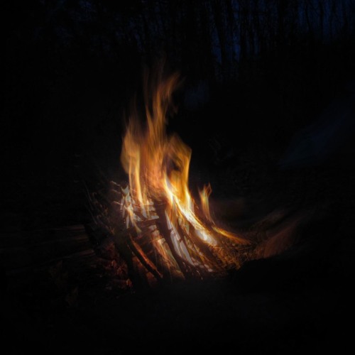 Campfire Stories 35 (Hidden Woods) by OWL