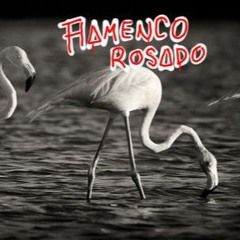 Flamenco Rosado - DawnThaReapeR [Prod. BA$I]