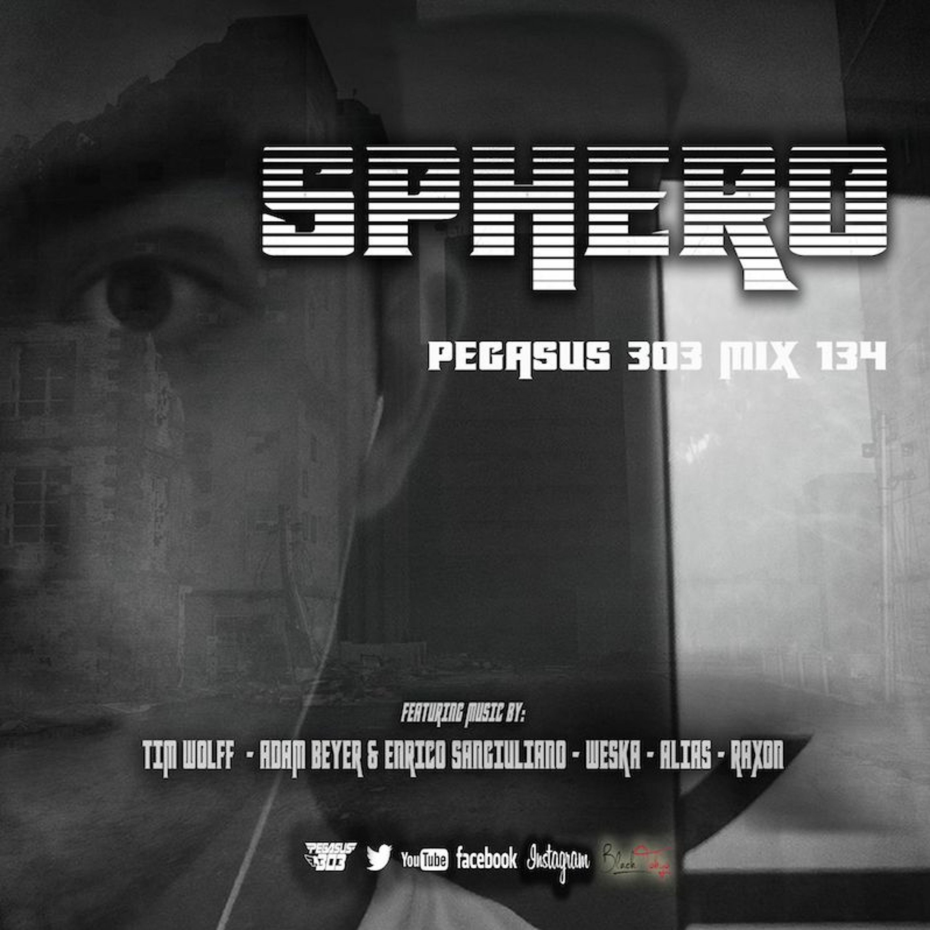 Pegasus 303 (mrclean)