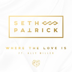 Where the Love Is (feat. Ally Miller)