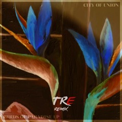 City of Union - Birds of Paradise ( TRE Remix )
