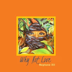Why Not Love (prod. Ronnie Rockets)