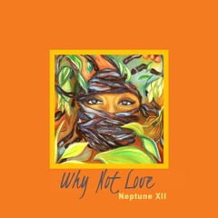 Why Not Love (prod. Ronnie Rockets)