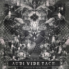 MultiKhauzal & Rasibu - MultiKsibu - 206-230-250 BPM (VA - Audi Vide Tace)