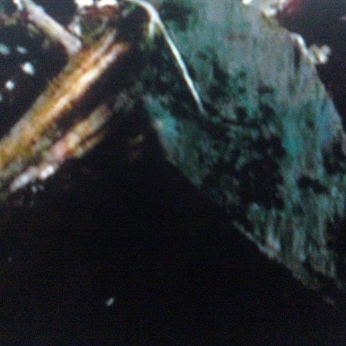 exulansis VIP