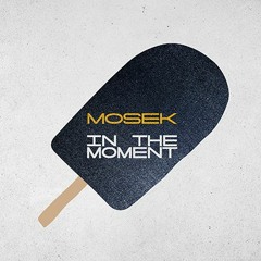 Mosek - In the Moment