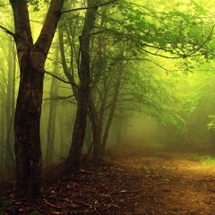 Chill/Hip/Trip-Hop February/2018