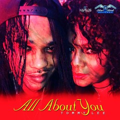 Tommy Lee Sparta - All About You