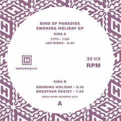 Bird Of Paradise - Tito