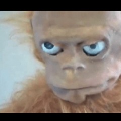 BBU Session 3: Let's Talk About Sex (Male & Female Perspectives)