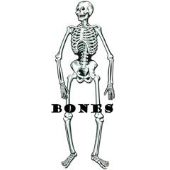 Bones