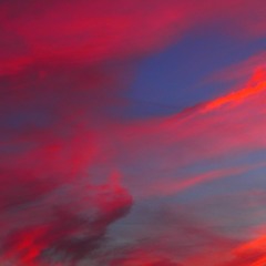 Perfect Duet  By Ed Sheeran Ft. Beyoncé Cover