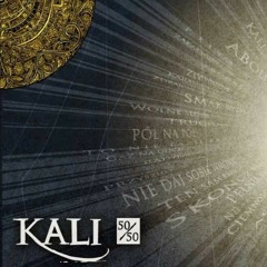22. Kali - N22 (prod. Dj Feel - X)
