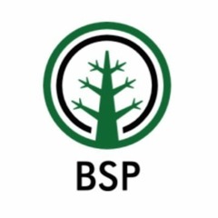 Podcast 9 - SEC/Big 12 Challenge, Tiger is BACK