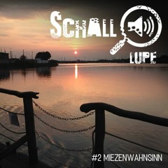 Schalllupecast #002 - Miezenwahnsinn