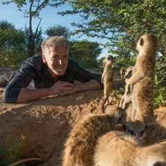 Wildlife Filmmaker Gordon Buchanan On "Animals with Cameras"