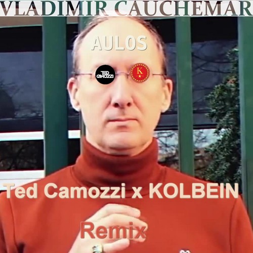 Vladimir Cauchemar - Aulos (Ted Camozzi x KOLBEIN Remix)