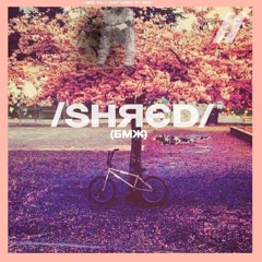 ShreddieDiamonds//BMX