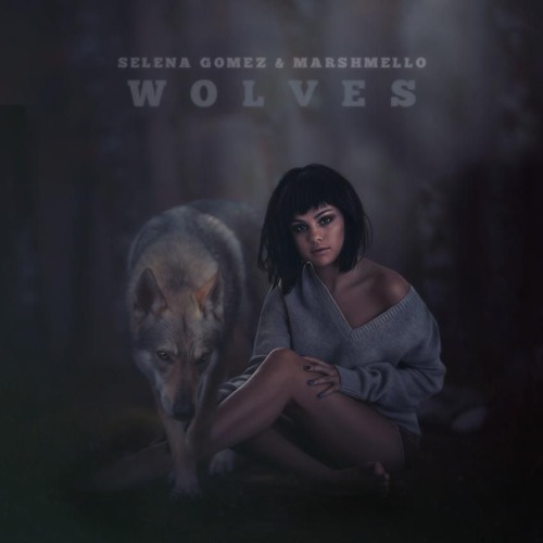 Stream Marshmello & Selena Gomez - Wolves (Acoustic Version) by Kat Tolic |  Listen online for free on SoundCloud