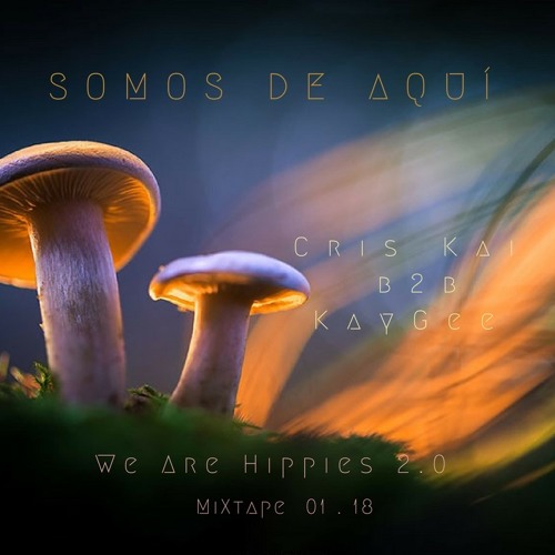 Somos de Aquí (Cris kai B2B Kaygee) are hippies 14.0