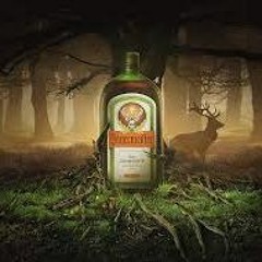 Da Tweekaz - The Story of Jägermeister