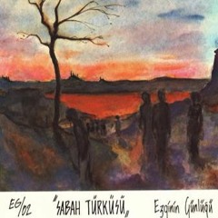Ezginin Günlüğü  - Odam Kireç Tutmuyor