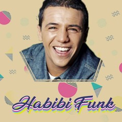 Faudel tellement je t'aime ( Habibi funk remix )